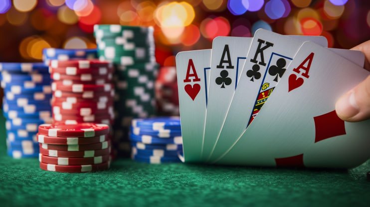 6033bet